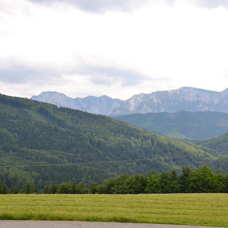Gasthaus Schoeberingerhof ワイレック エクステリア 写真